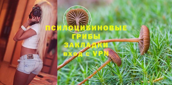 хмурый Заволжье