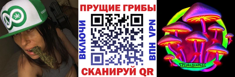 Купить где  Сосновоборск  Галлюциногенные грибы GOLDEN TEACHER 
